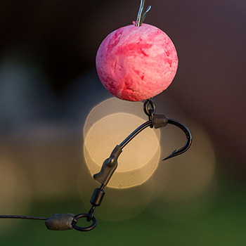 Carpleads Ready Ronnie Rig Konfigurator